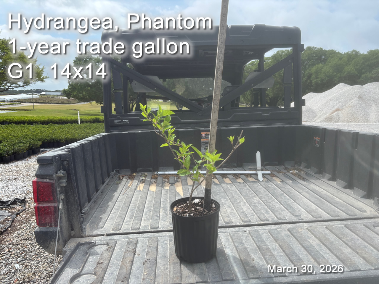 gallery/hpt1yt g1 mar30.jpg